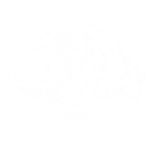 Animal Games
